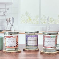 Signature Soy Candle Collection